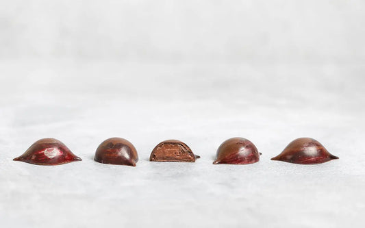 A Guide to Fine Chocolate: Understanding Different Chocolate Types & Their Unique Tasting Experience